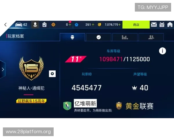 南宫28国际VIP会员权益及专属福利介绍提升你的游戏体验感受
